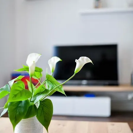 Apartament Serenity